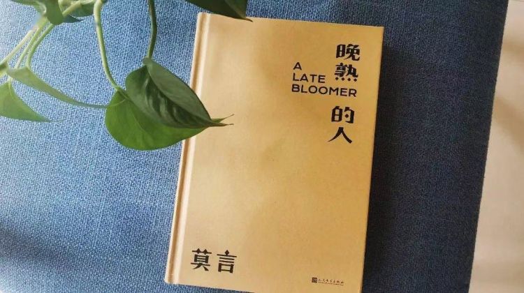 求职简历信息财务经理/主管